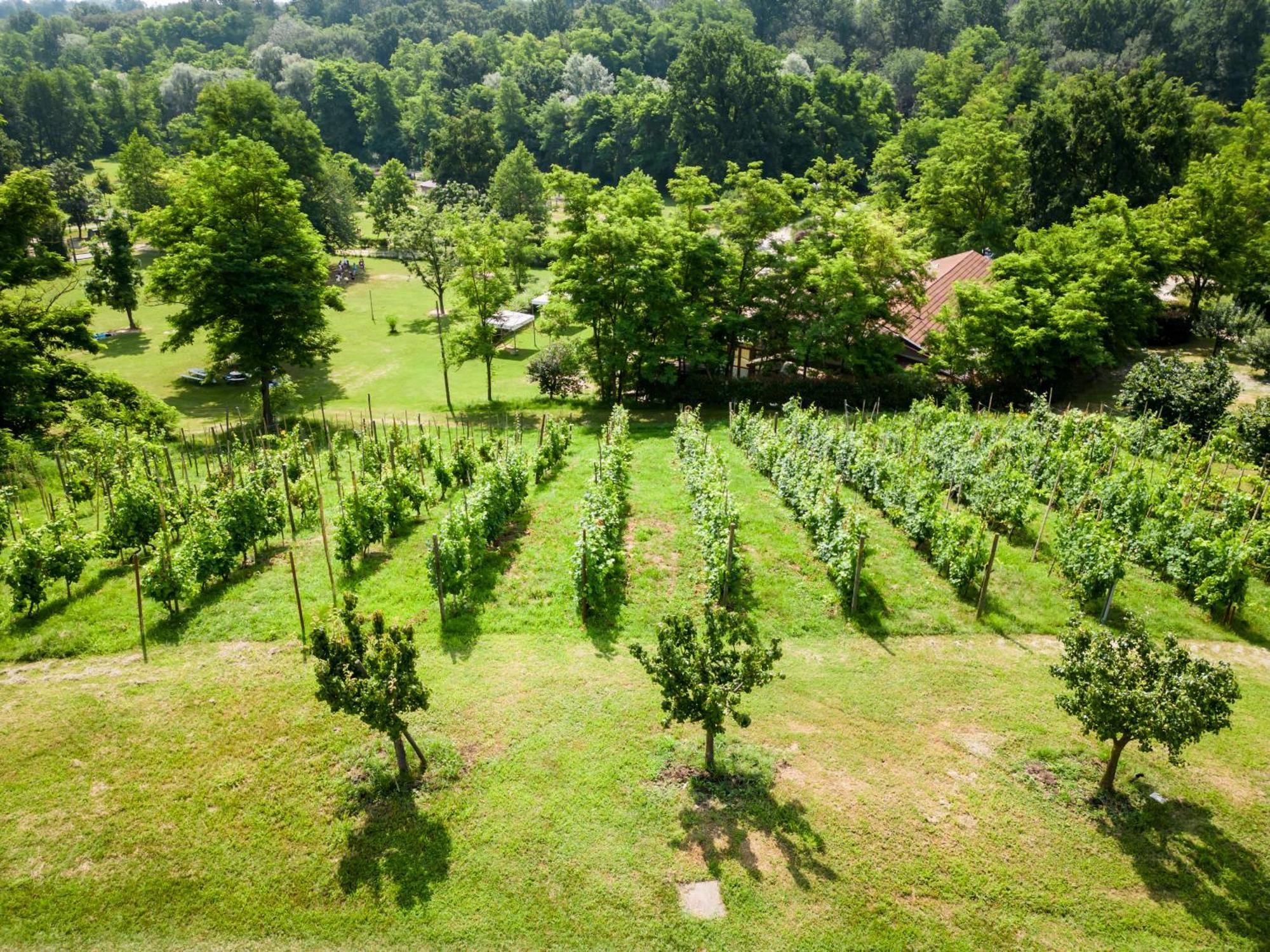 Agriturismo Parco Campofelice *
